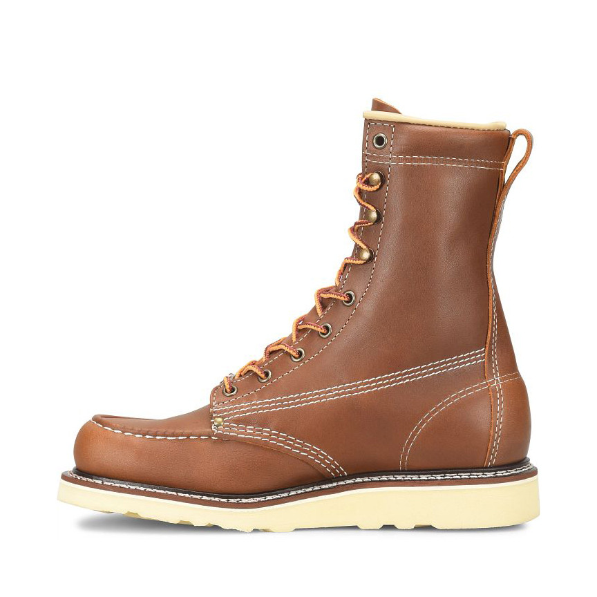 Carolina AMP #CA7502 Men's 8